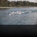 Comen Cup 2009 343